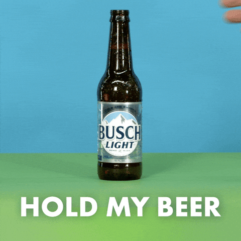 Hold My Beer Busch Light GIF by Busch Beer