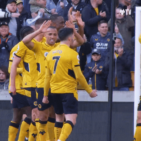 Celebrating Premier League GIF by Wolves