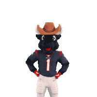 How Are You Hat Sticker by Houston Texans