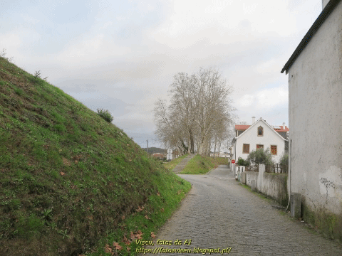 viseu. portugal GIF
