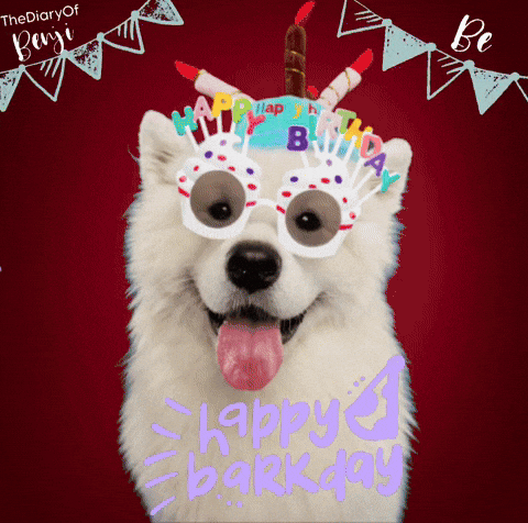 Happy Birthday GIF