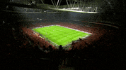 GIF by Galatasaray