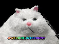Kinderzentren_Kunterbunt cat kids child kind GIF