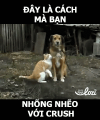 nguyen GIF by Lozi Singapore Co.