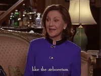 season 3 netflix GIF by Gilmore Girls 