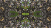 Art Love GIF by jorgemariozuleta