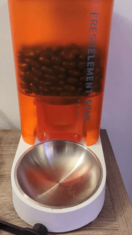 johnpchi giphyupload GIF