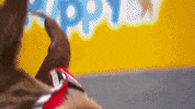 sloth GIF by Puppy Bowl