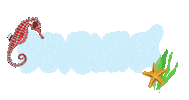 Summer Star Sticker