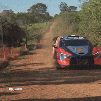 Sunday GIF by FIA World Rally Championship
