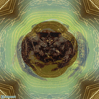 web spider GIF by Psyklon