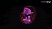 Animation Kafka GIF
