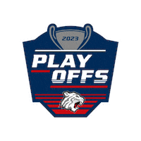 Ice Tigers Sticker by Nürnberg Ice Tigers