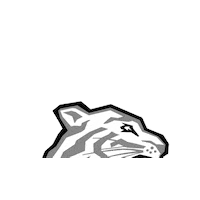 Nuernberg_Ice_Tigers icetigers ice tigers nürnberg ice tigers Sticker