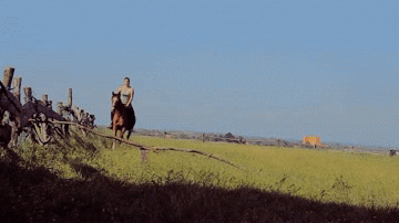 jumping horseback riding GIF
