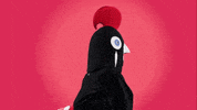 bro what GIF by Nando's Malaysia