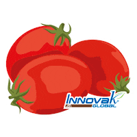 Tomatoes Sticker by Innovak Global