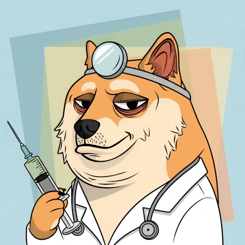 Shiba Inu Dog GIF by Doge Pound