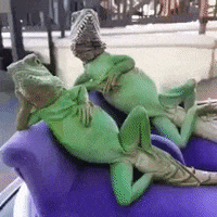 Mood Wow GIF by JustViral