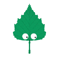 Silver Birch Eye Roll Sticker