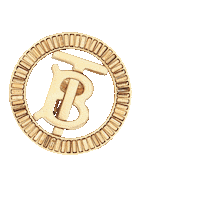 Fashion Gold Sticker by Burberry