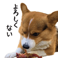 Corgi Milo Sticker