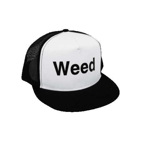 scoresomeweed giphythatsgonnabeanofrommedawg Sticker