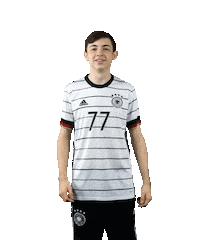Germany Swipeup Sticker by DFB-Teams