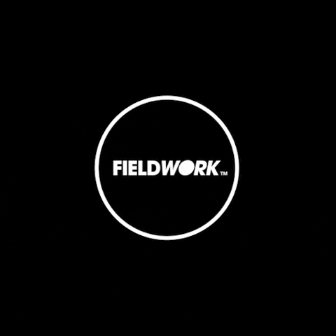 teamfieldwork giphyupload logo ring fw GIF