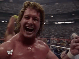 roddy piper wrestling GIF by WWE