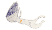 Wind Tunnel Hurricane Sticker by Madrid Fly