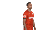 Posing Bayer 04 Sticker by Bundesliga
