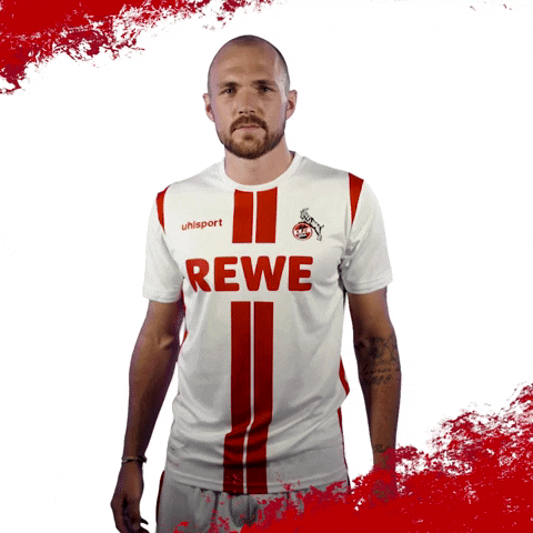 1 Fc Cologne Football GIF by 1. FC Köln