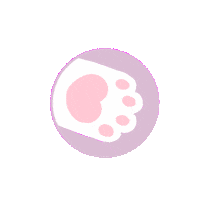 Cat Kitty Sticker