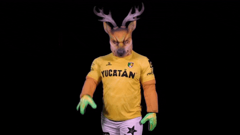 Yucatan Primerosoyvenado GIF by Venados FC