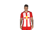 fcredbullsalzburg celebration fc red bull salzburg dominik szoboszlai Sticker