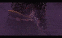 The Legend Of Zelda Demise GIF