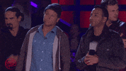 backstreet boys GIF by Drop The Mic