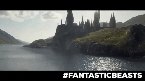 harry potter the crimes of grindelwald GIF by Cineworld Cinemas