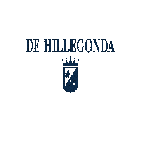 Rotterdam Wonen Sticker by De Hillegonda