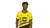 Knock Borussia Dortmund Sticker by Bundesliga