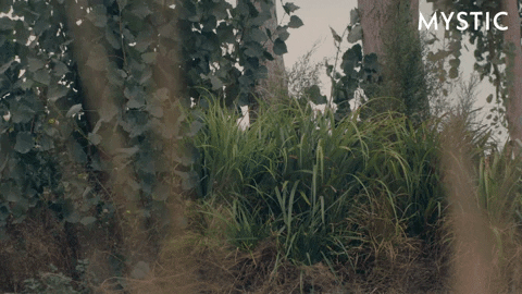 Bbc Hello GIF by Mystic
