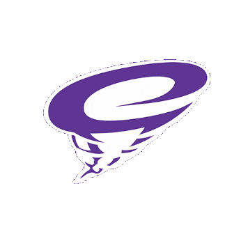 ccscyclones north carolina wilson ccs cyclones Sticker