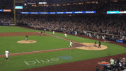 San Diego Padres Win GIF by MLB