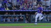 Home Run Sport GIF by MLB