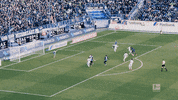 Ivory Coast Wow GIF by Bundesliga