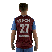 Handball Potsdam Sticker by DAIKIN HBL