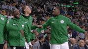 hands in the air GIF by Boston Celtics