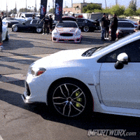 Turbo Boxer GIF by ImportWorx