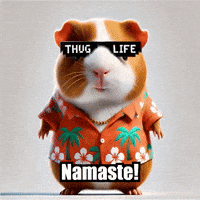Guinea Pig Relax GIF by Guinea Gambino